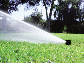 Lawn Sprinkler